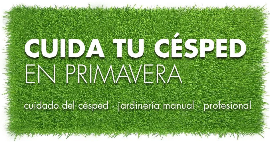 Consejos para tener un césped perfecto