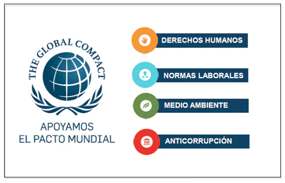 principios pacto mundial