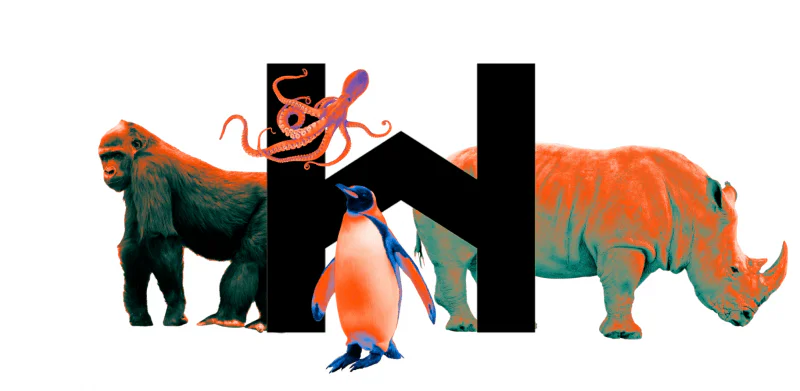 logo nuevo homs rentals