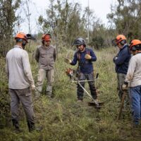 formacion_curso_maquinaria_ligera_homsrentals_desbrozadora