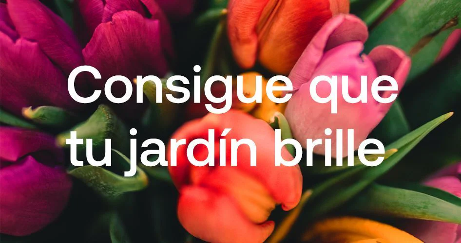 consejos para el cuidado del jardín