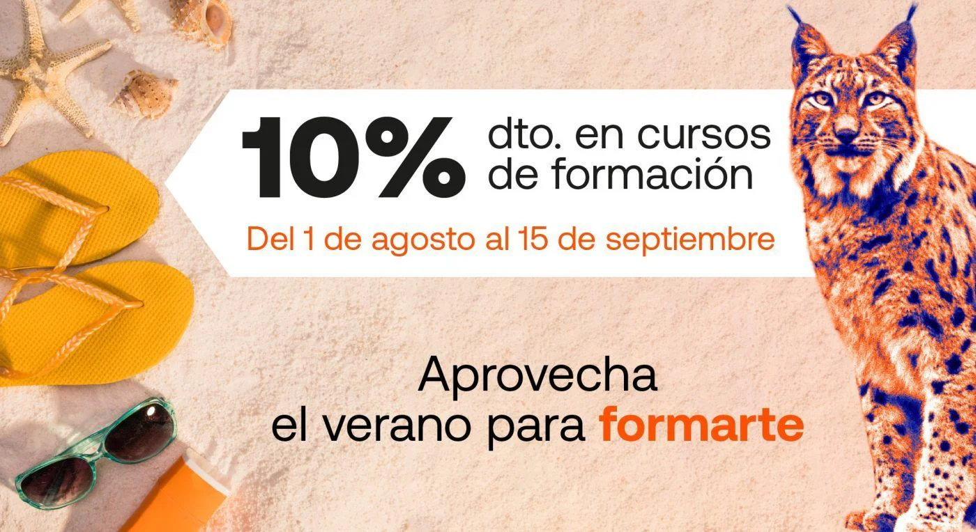 promoción cursos formación