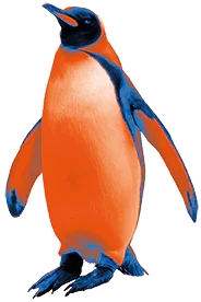 Pingüino en eventos