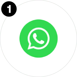 Abrir chat de WhatsApp