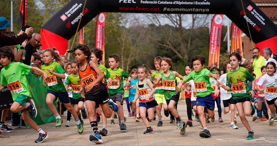 mini trail 2025