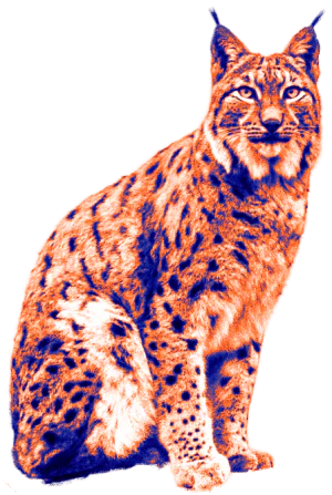Decoración Lince